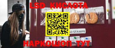 spice Славгород