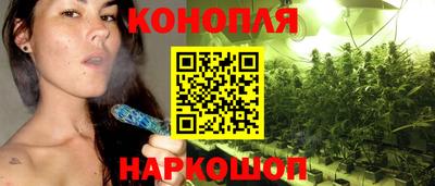 spice Славгород