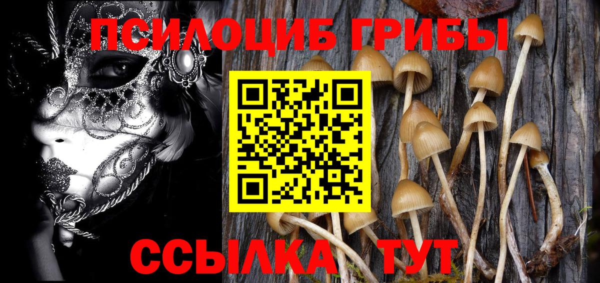 Галлюциногенные грибы Psilocybe Орёл