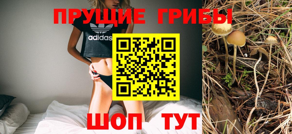 Псилоцибиновые грибы Psilocybine cubensis  Вход с VPN  Орёл 